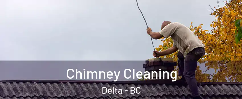  Chimney Cleaning Delta - BC