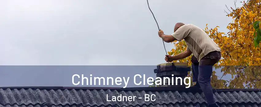  Chimney Cleaning Ladner - BC