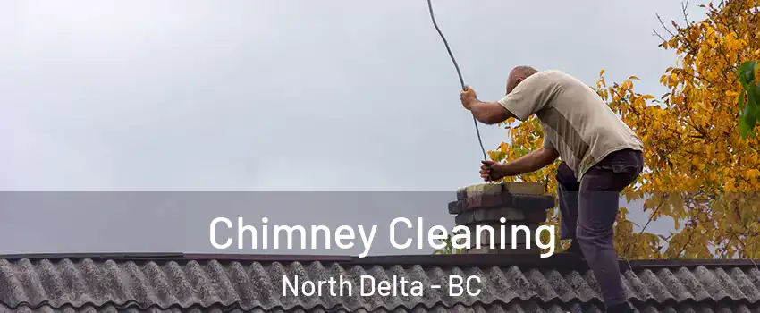  Chimney Cleaning North Delta - BC