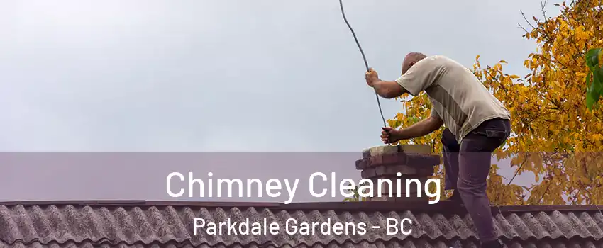  Chimney Cleaning Parkdale Gardens - BC