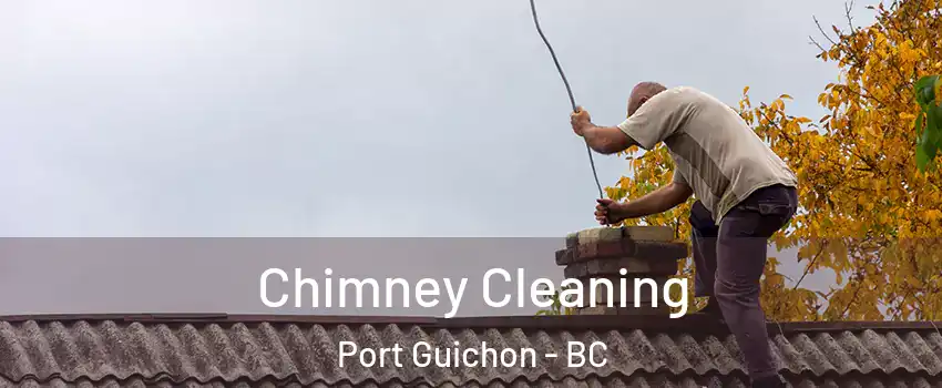 Chimney Cleaning Port Guichon - BC