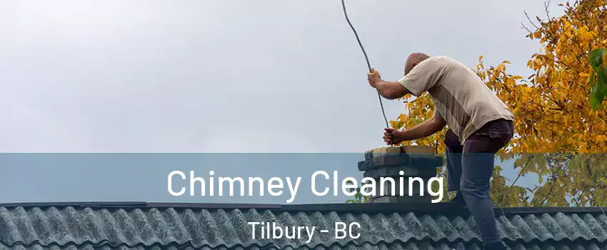  Chimney Cleaning Tilbury - BC