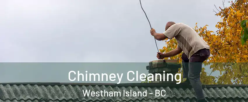  Chimney Cleaning Westham Island - BC
