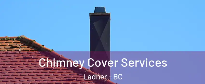  Chimney Cover Services Ladner - BC