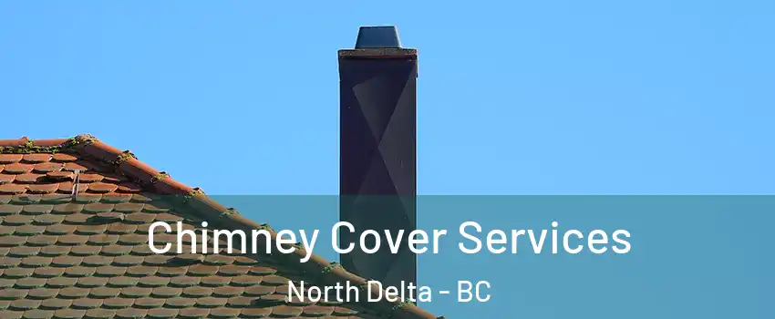  Chimney Cover Services North Delta - BC