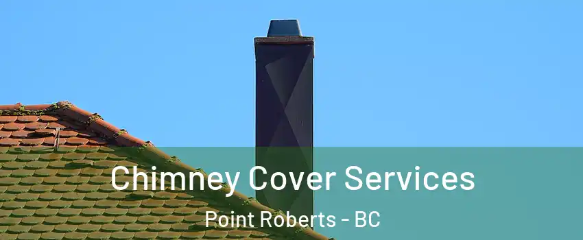  Chimney Cover Services Point Roberts - BC