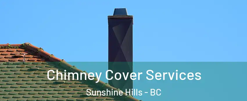  Chimney Cover Services Sunshine Hills - BC