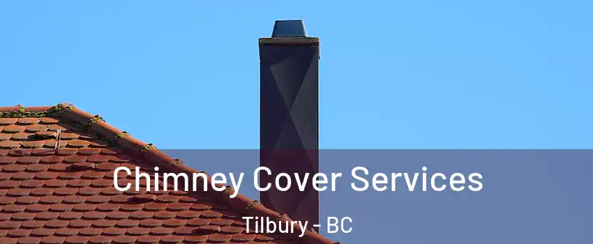  Chimney Cover Services Tilbury - BC