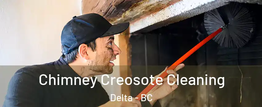  Chimney Creosote Cleaning Delta - BC