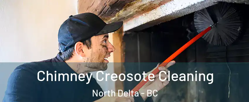  Chimney Creosote Cleaning North Delta - BC