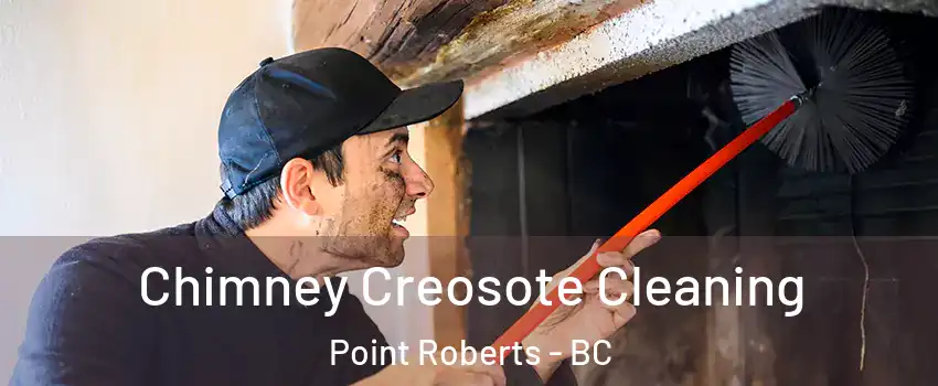  Chimney Creosote Cleaning Point Roberts - BC