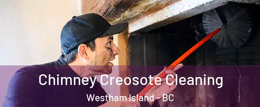  Chimney Creosote Cleaning Westham Island - BC