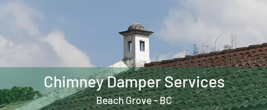 Chimney Damper Services Beach Grove - BC