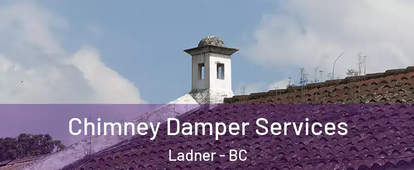  Chimney Damper Services Ladner - BC