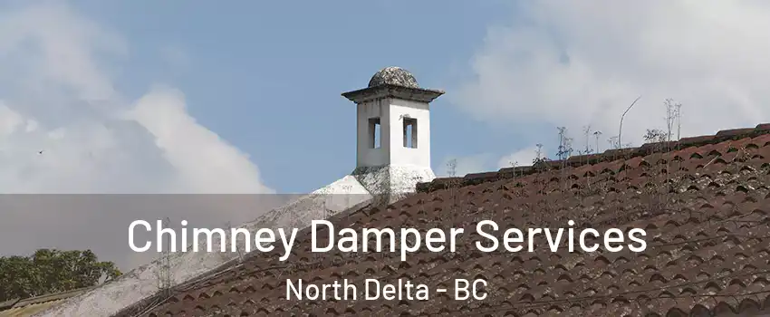  Chimney Damper Services North Delta - BC