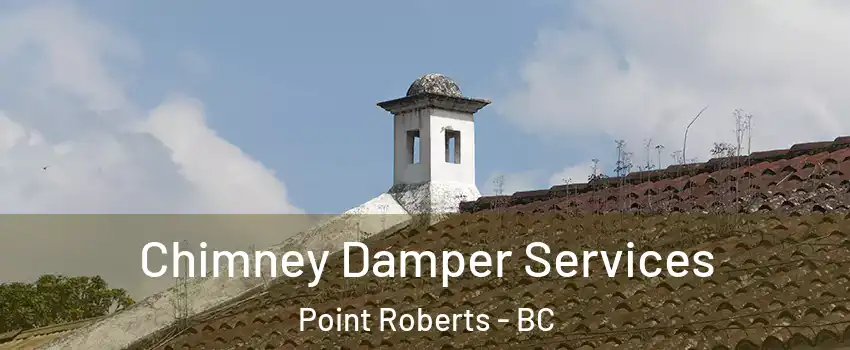  Chimney Damper Services Point Roberts - BC