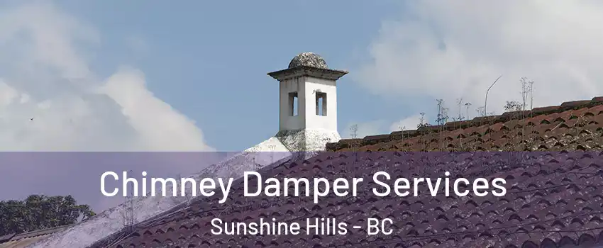  Chimney Damper Services Sunshine Hills - BC