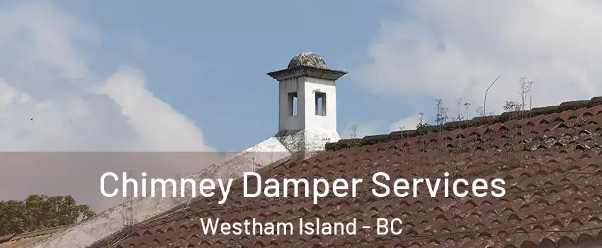  Chimney Damper Services Westham Island - BC