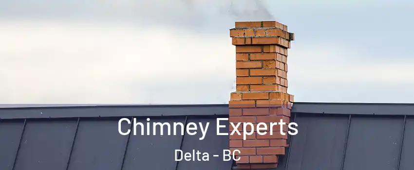 Chimney Experts Delta - BC