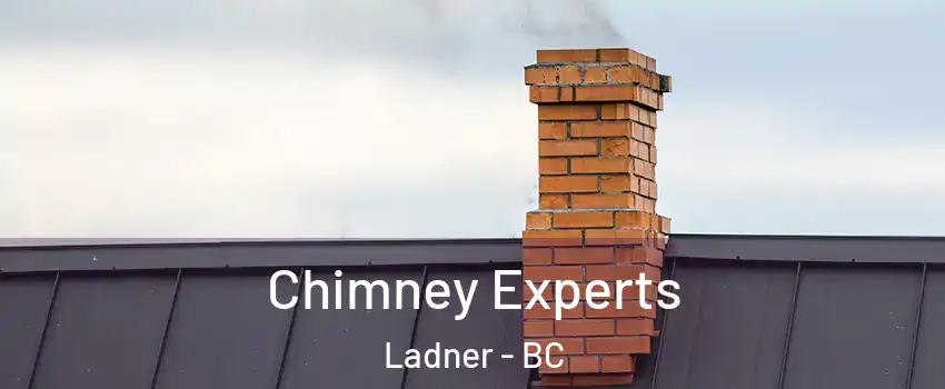  Chimney Experts Ladner - BC