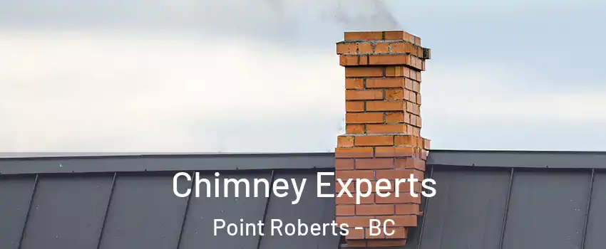 Chimney Experts Point Roberts - BC