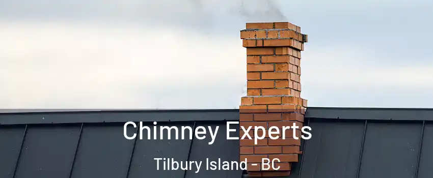 Chimney Experts Tilbury Island - BC