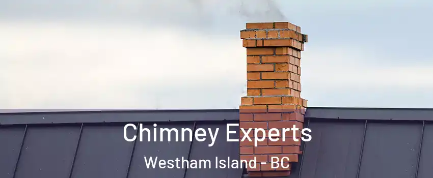 Chimney Experts Westham Island - BC