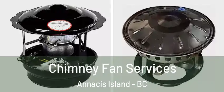  Chimney Fan Services Annacis Island - BC