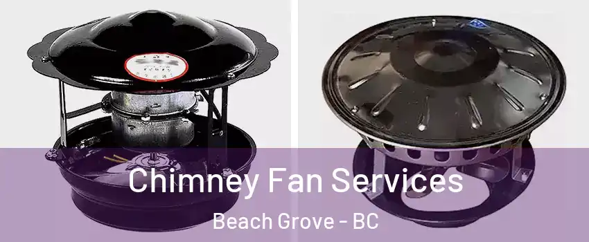  Chimney Fan Services Beach Grove - BC