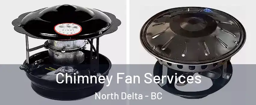  Chimney Fan Services North Delta - BC