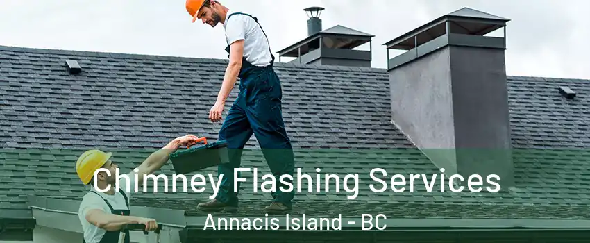  Chimney Flashing Services Annacis Island - BC