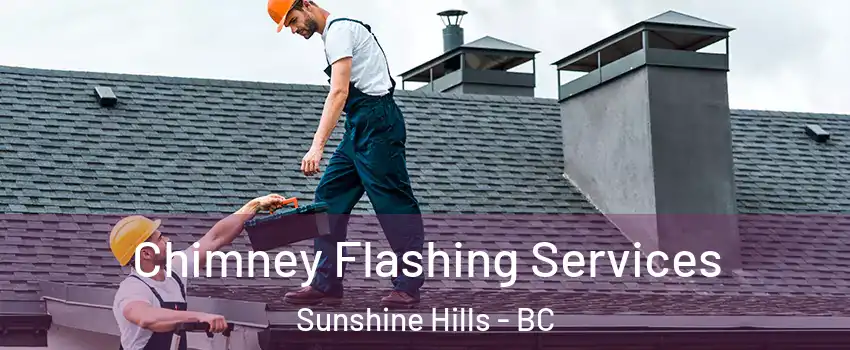  Chimney Flashing Services Sunshine Hills - BC