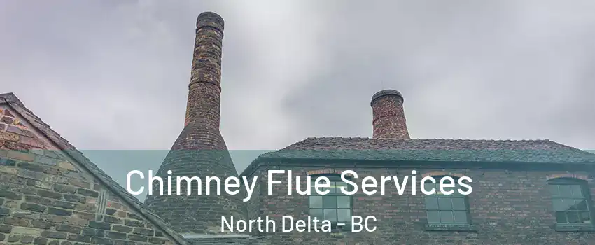 Chimney Flue Services North Delta - BC