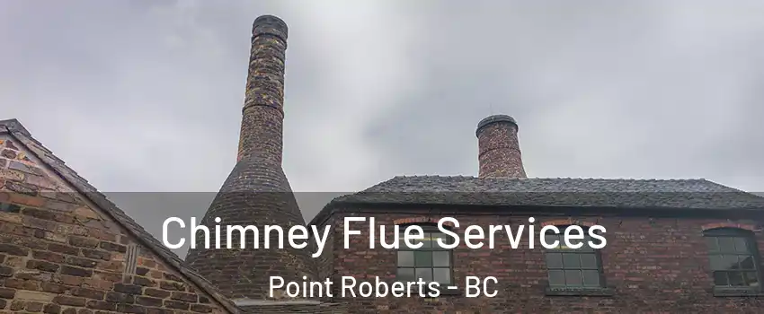  Chimney Flue Services Point Roberts - BC