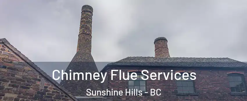  Chimney Flue Services Sunshine Hills - BC