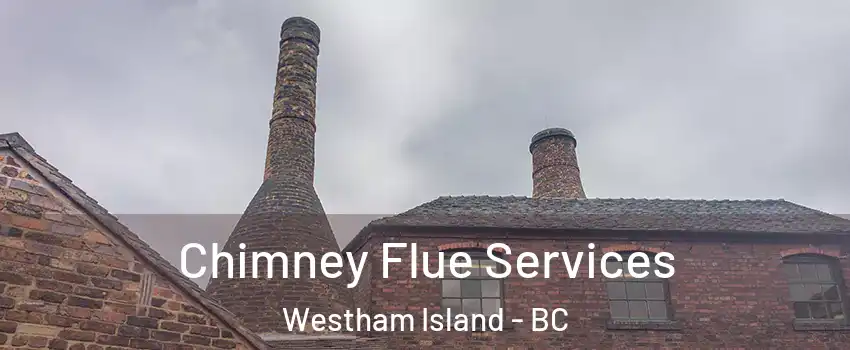  Chimney Flue Services Westham Island - BC