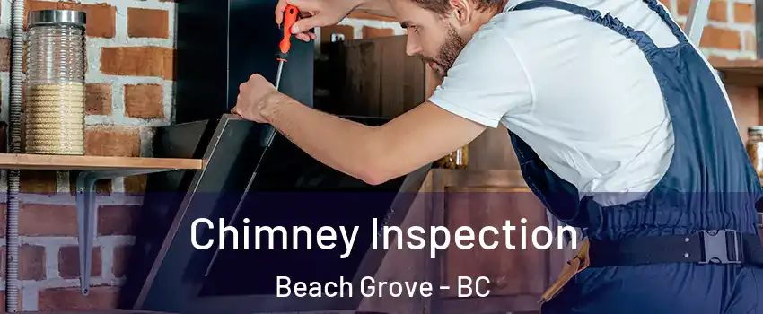  Chimney Inspection Beach Grove - BC