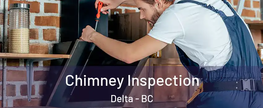  Chimney Inspection Delta - BC