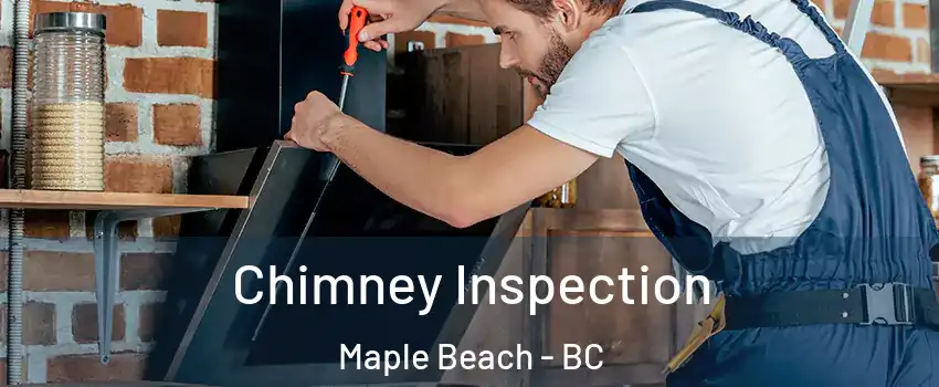  Chimney Inspection Maple Beach - BC