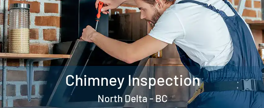  Chimney Inspection North Delta - BC