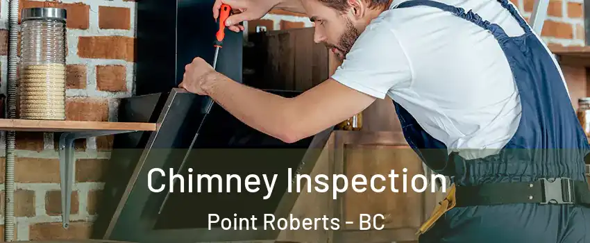  Chimney Inspection Point Roberts - BC