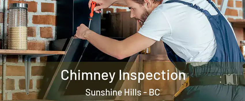  Chimney Inspection Sunshine Hills - BC