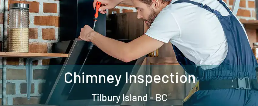  Chimney Inspection Tilbury Island - BC