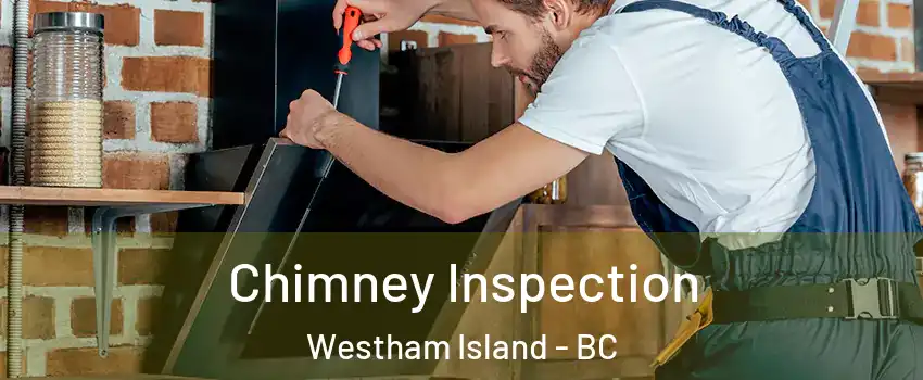  Chimney Inspection Westham Island - BC