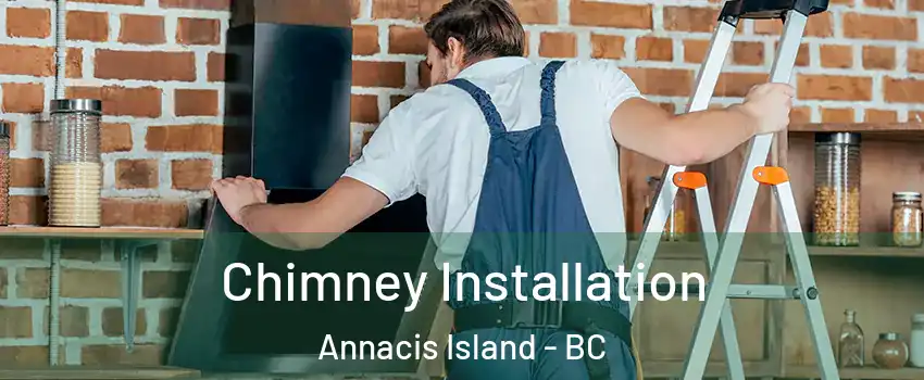  Chimney Installation Annacis Island - BC