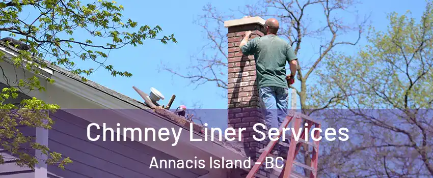  Chimney Liner Services Annacis Island - BC