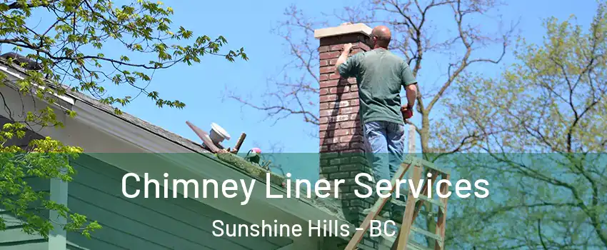  Chimney Liner Services Sunshine Hills - BC