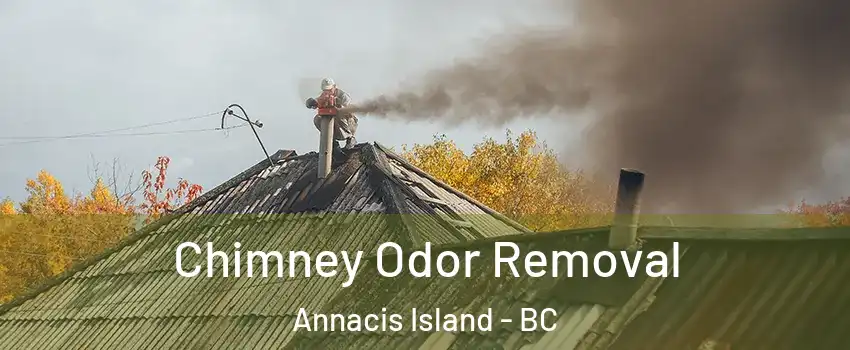 Chimney Odor Removal Annacis Island - BC