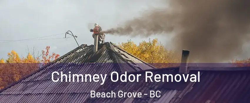  Chimney Odor Removal Beach Grove - BC