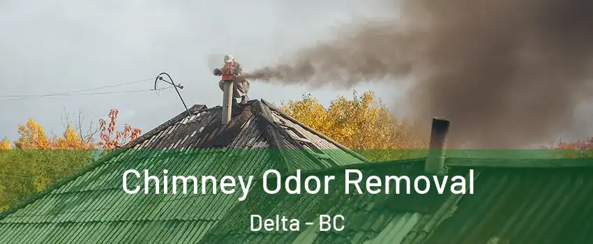  Chimney Odor Removal Delta - BC
